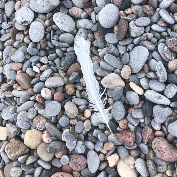 JEANE & JAX Luxury Vegan Leather Crossbody or Clutch - Picture 14 of 15